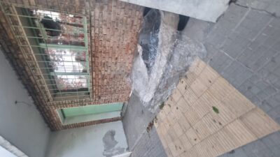 RECIBIMOS Y PUBLICAMOS